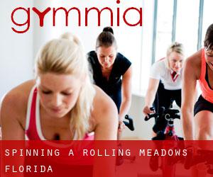 Spinning a Rolling Meadows (Florida)