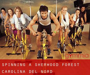 Spinning a Sherwood Forest (Carolina del Nord)