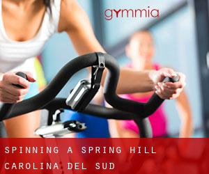 Spinning a Spring Hill (Carolina del Sud)