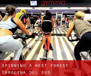 Spinning a West Forest (Carolina del Sud)