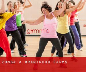 Zumba a Brantwood Farms