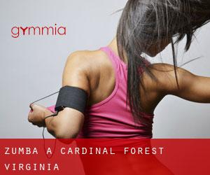 Zumba a Cardinal Forest (Virginia)