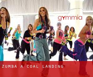 Zumba a Coal Landing