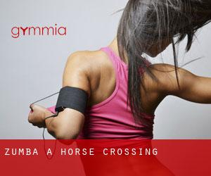 Zumba a Horse Crossing