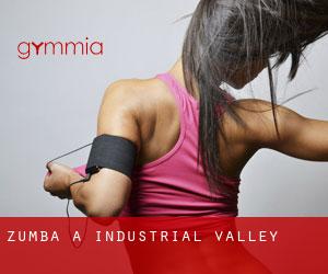 Zumba a Industrial Valley