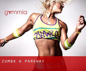 Zumba a Parkway