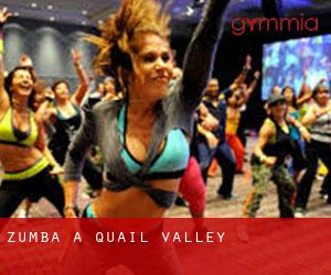 Zumba a Quail Valley