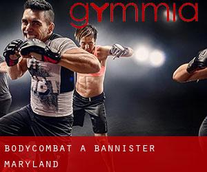 BodyCombat a Bannister (Maryland)