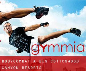 BodyCombat a Big Cottonwood Canyon Resorts
