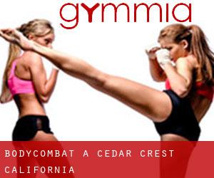 BodyCombat a Cedar Crest (California)