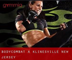 BodyCombat a Klinesville (New Jersey)