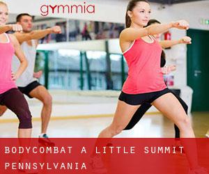 BodyCombat a Little Summit (Pennsylvania)