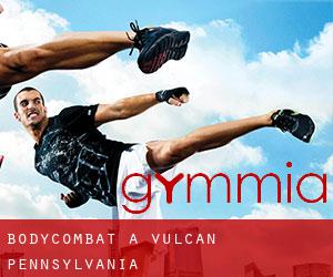 BodyCombat a Vulcan (Pennsylvania)