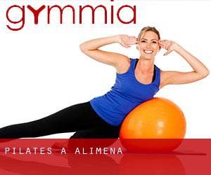 Pilates a Alimena