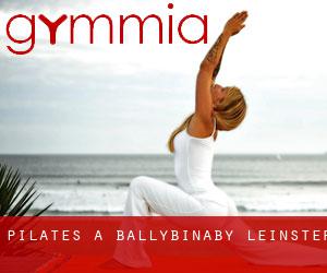 Pilates a Ballybinaby (Leinster)
