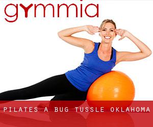 Pilates a Bug Tussle (Oklahoma)