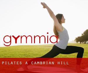 Pilates a Cambrian Hill