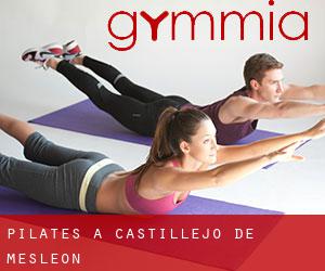Pilates a Castillejo de Mesleón