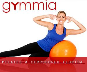 Pilates a Cerrogordo (Florida)