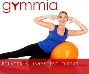 Pilates a Hampshire Forest