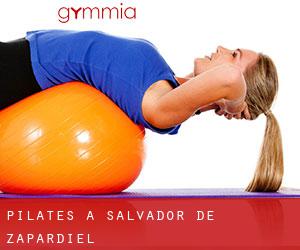 Pilates a Salvador de Zapardiel