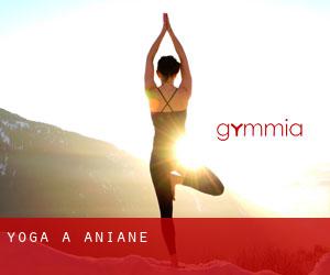 Yoga a Aniane