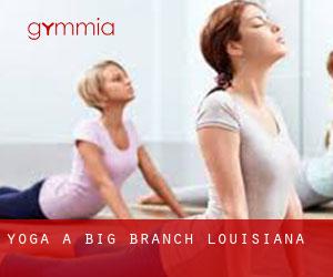 Yoga a Big Branch (Louisiana)