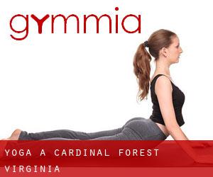 Yoga a Cardinal Forest (Virginia)