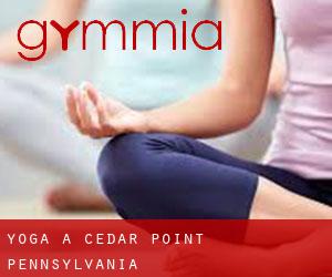 Yoga a Cedar Point (Pennsylvania)