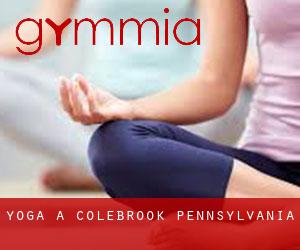 Yoga a Colebrook (Pennsylvania)