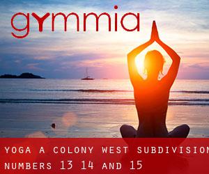 Yoga a Colony West Subdivision - Numbers 13, 14 and 15