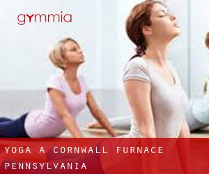 Yoga a Cornwall Furnace (Pennsylvania)