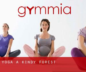 Yoga a Kindy Forest