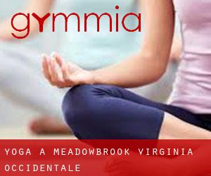 Yoga a Meadowbrook (Virginia Occidentale)