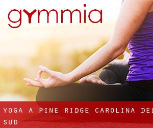Yoga a Pine Ridge (Carolina del Sud)