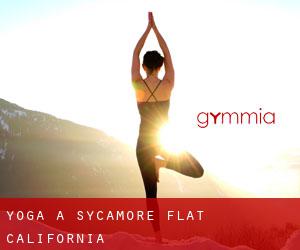 Yoga a Sycamore Flat (California)