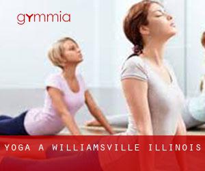 Yoga a Williamsville (Illinois)
