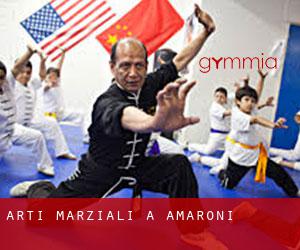 Arti marziali a Amaroni