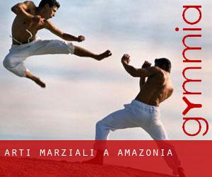 Arti marziali a Amazonia