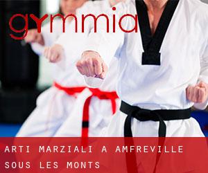 Arti marziali a Amfreville-sous-les-Monts