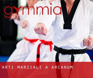 Arti marziali a Arcanum