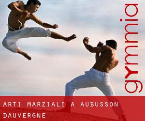 Arti marziali a Aubusson-d'Auvergne