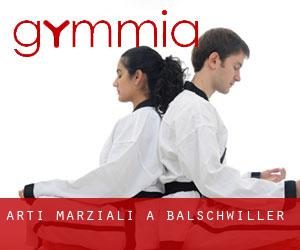 Arti marziali a Balschwiller