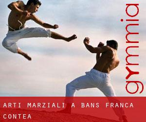 Arti marziali a Bans (Franca Contea)