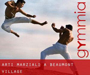 Arti marziali a Beaumont-Village