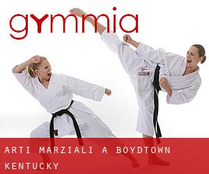 Arti marziali a Boydtown (Kentucky)
