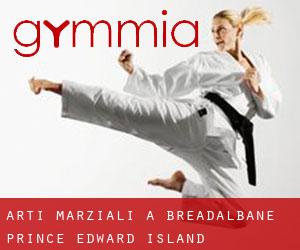 Arti marziali a Breadalbane (Prince Edward Island)