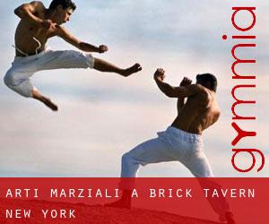 Arti marziali a Brick Tavern (New York)