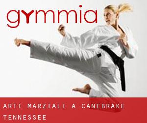 Arti marziali a Canebrake (Tennessee)