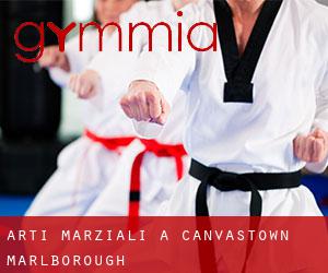 Arti marziali a Canvastown (Marlborough)